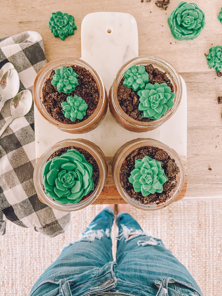 easy succulent dirt cups