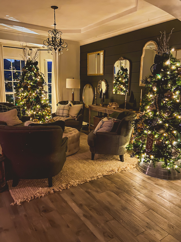 A Glowing Christmas Tree at Night