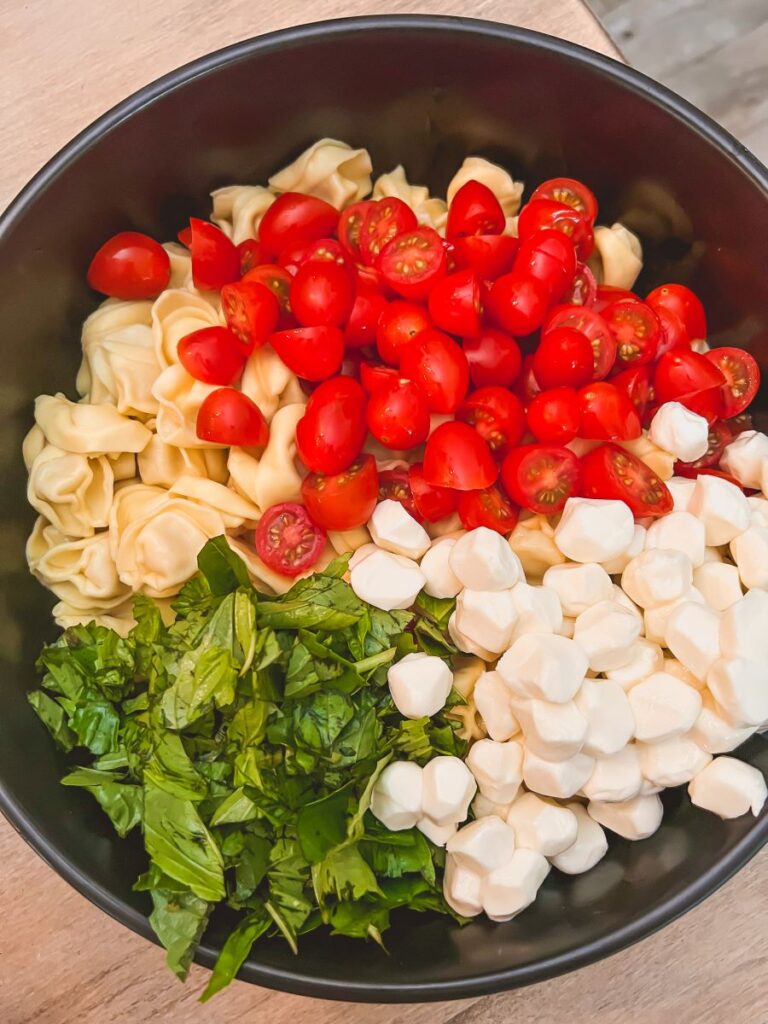 Bowl of Caprese Salad Ingredients