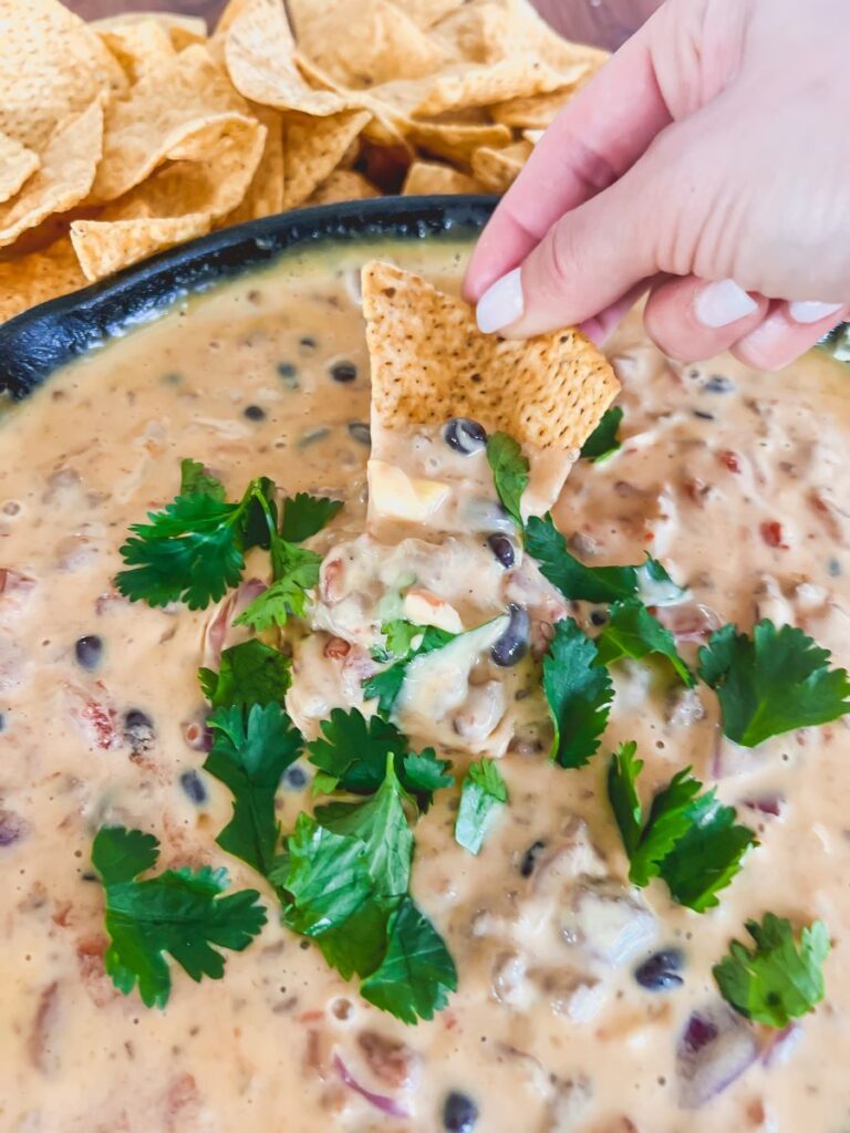 Loaded Queso Beer Dip with Cilantro Garnish
