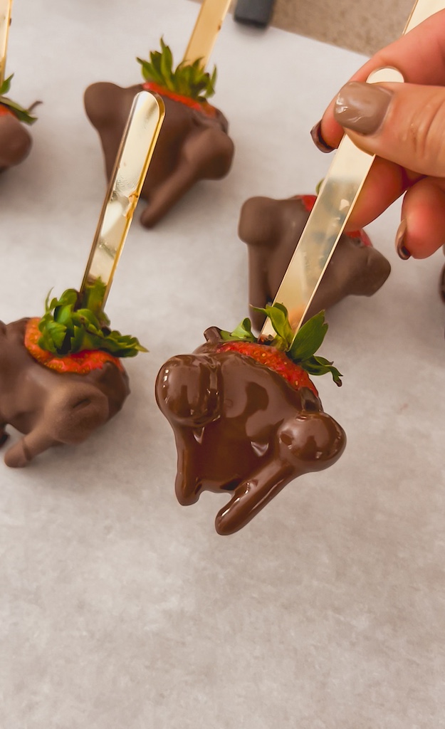 chocolate dipped strawberry turkey