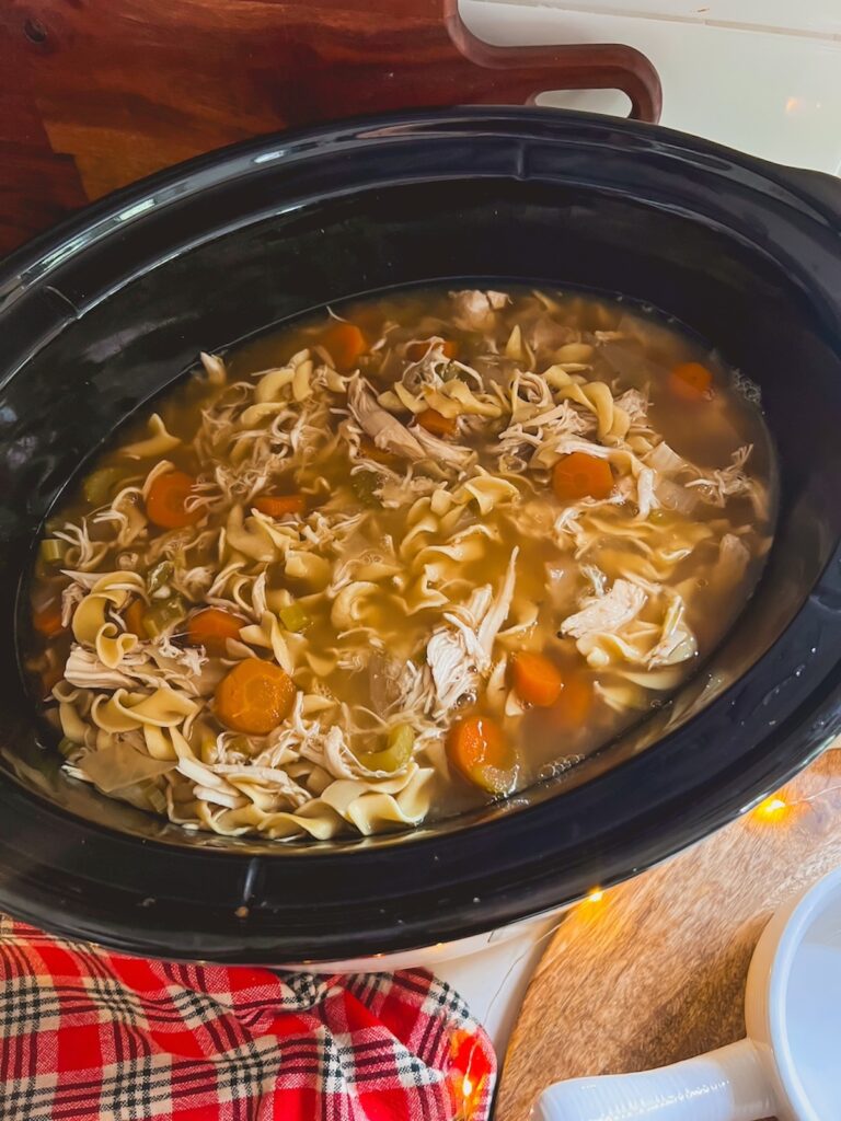 Slow cooker chicken noodle soup ready to be served.