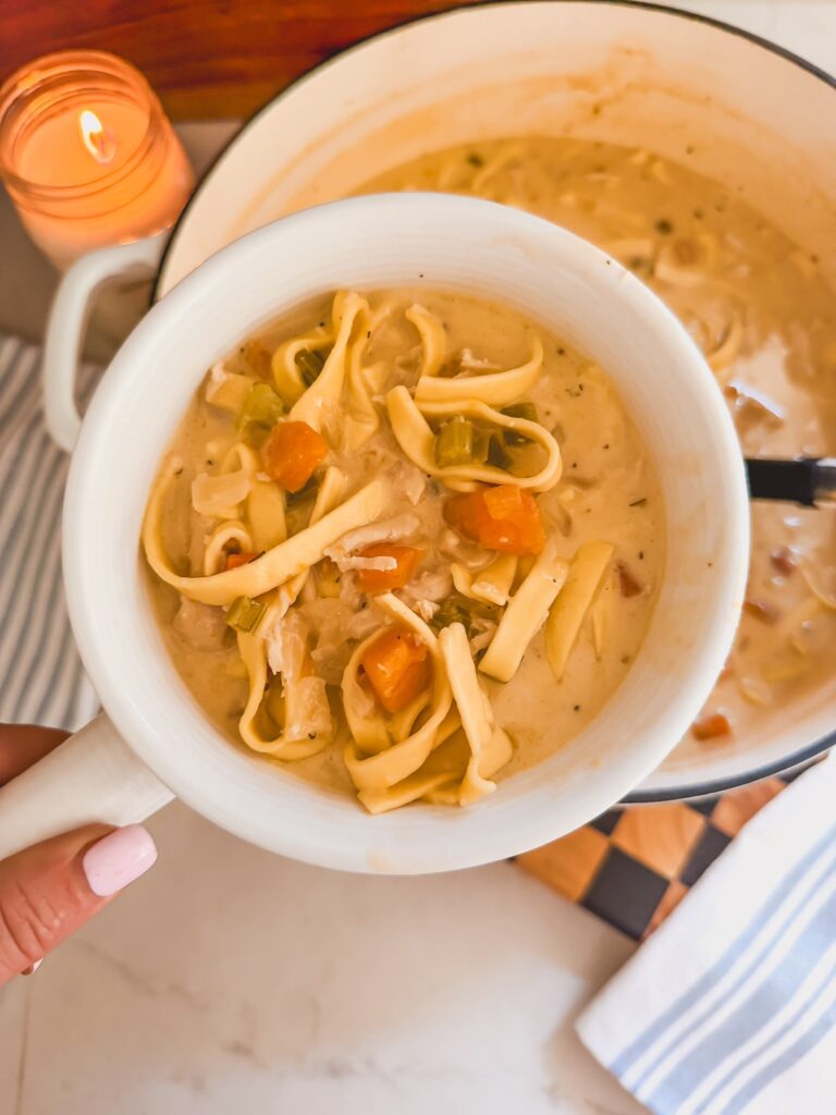 close up bowl of creamy chicken noodle soup