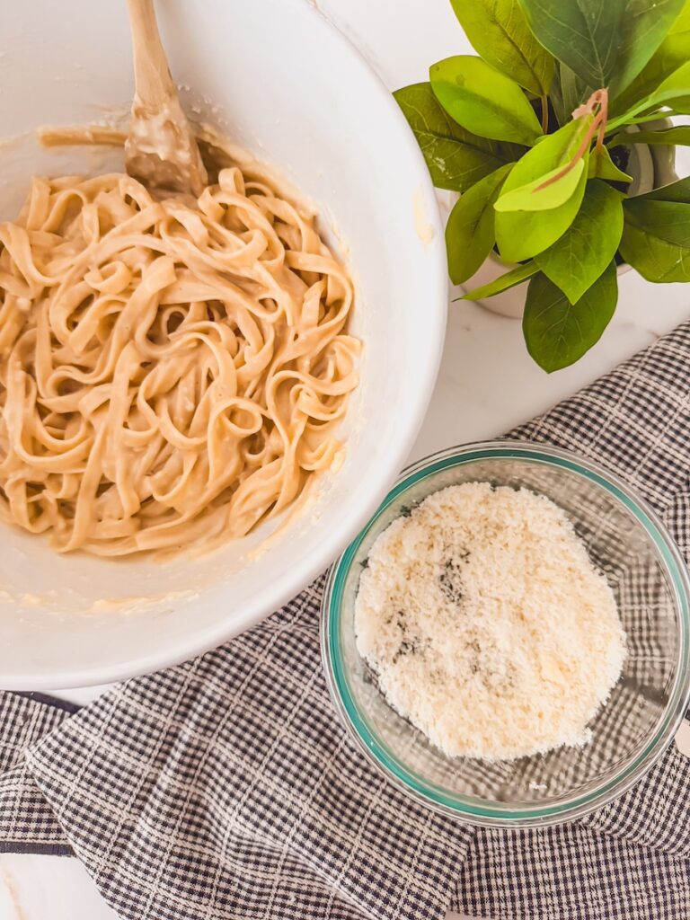 parmesan cheese next to bowl of fettuccini alfredo