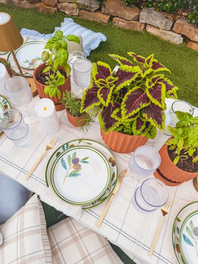 close up of herbs in posts on table