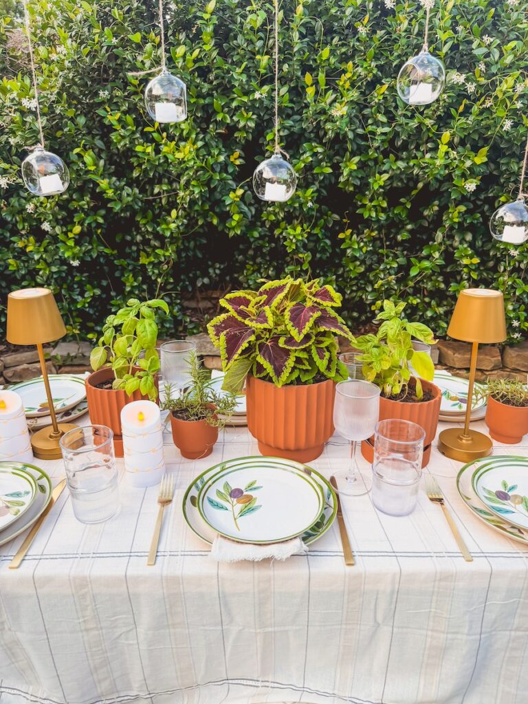 outdoor picnic set up