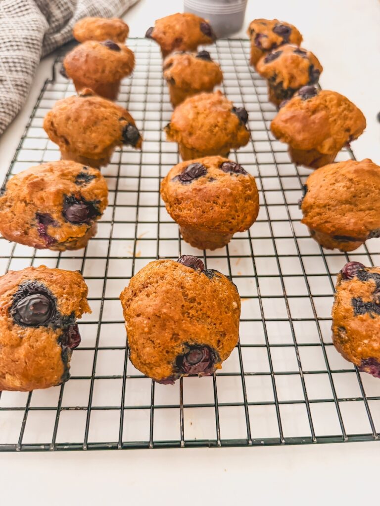 Easy Mini Blueberry Cottage Cheese Muffins