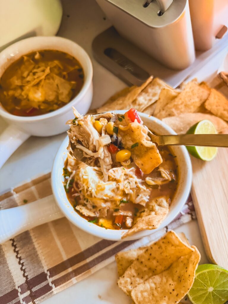 spoon full of chicken tortilla soup